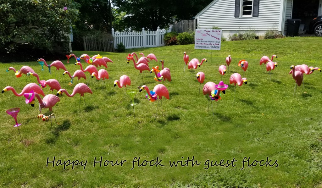 Happy Hour with guests Happy Hour with guests